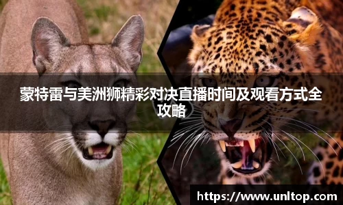 蒙特雷与美洲狮精彩对决直播时间及观看方式全攻略